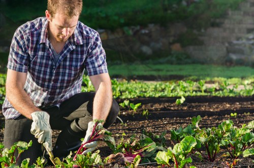 Dulwich homeowner planning their landscape garden with professionals