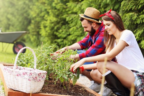 Professionals performing garden clearance in Dulwich