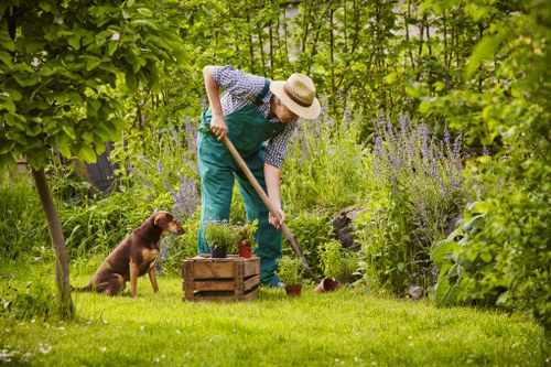 Philosophy of Gardener Dulwich promoting nature