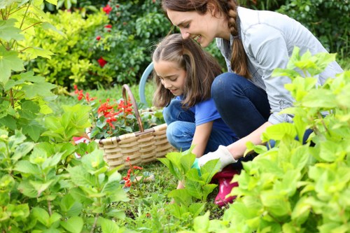 Community garden partnership receiving reclaimed soil and plants