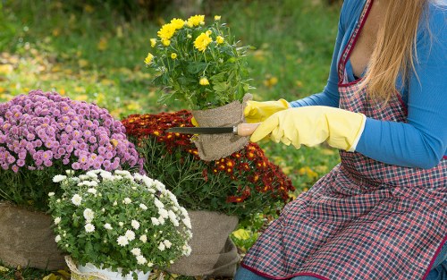 Gardening crew wearing PPE and high-vis jackets