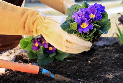 Tools used for garden clearance in Dulwich