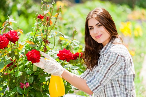 Essential gardening tools for garden maintenance