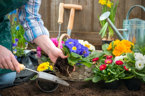 Sustainable gardening practices in a Dulwich backyard