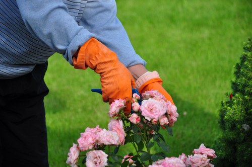 Local Dulwich gardener tending an accessible garden plot
