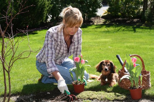 Photo showing a gardening crew and job documentation