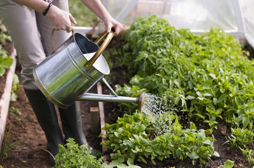 Professional gardener trimming a hedge in Dulwich